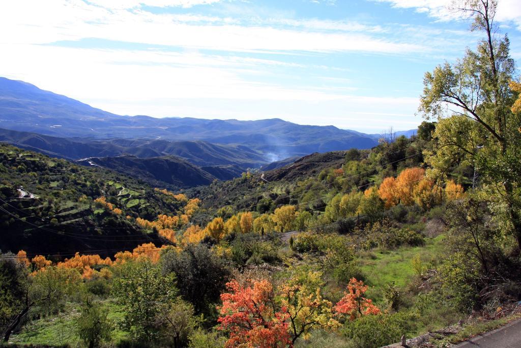 منزل الضيف Laroles  في Cortijo Buena Vista الغرفة الصورة