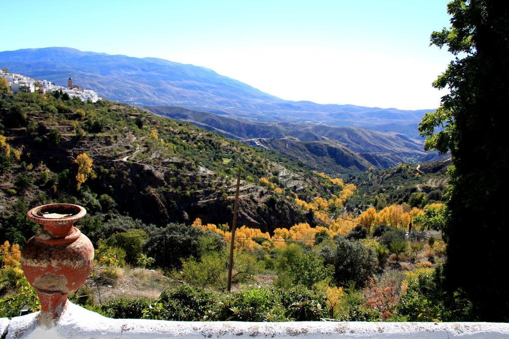 منزل الضيف Laroles  في Cortijo Buena Vista المظهر الخارجي الصورة