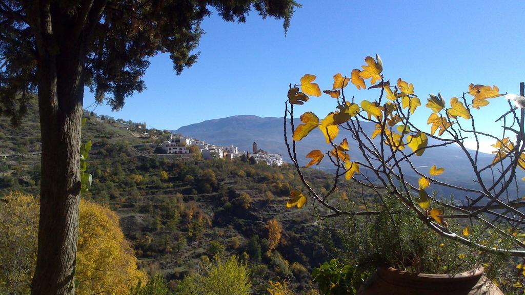 منزل الضيف Laroles  في Cortijo Buena Vista المظهر الخارجي الصورة