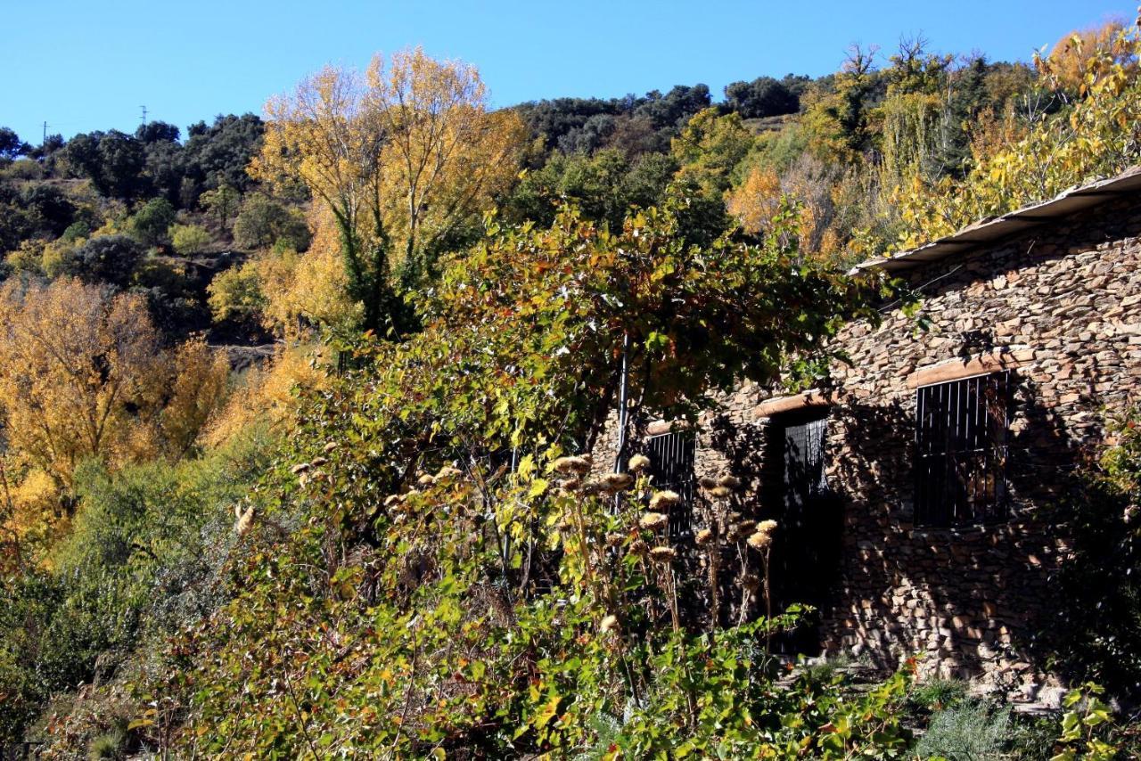 منزل الضيف Laroles  في Cortijo Buena Vista المظهر الخارجي الصورة