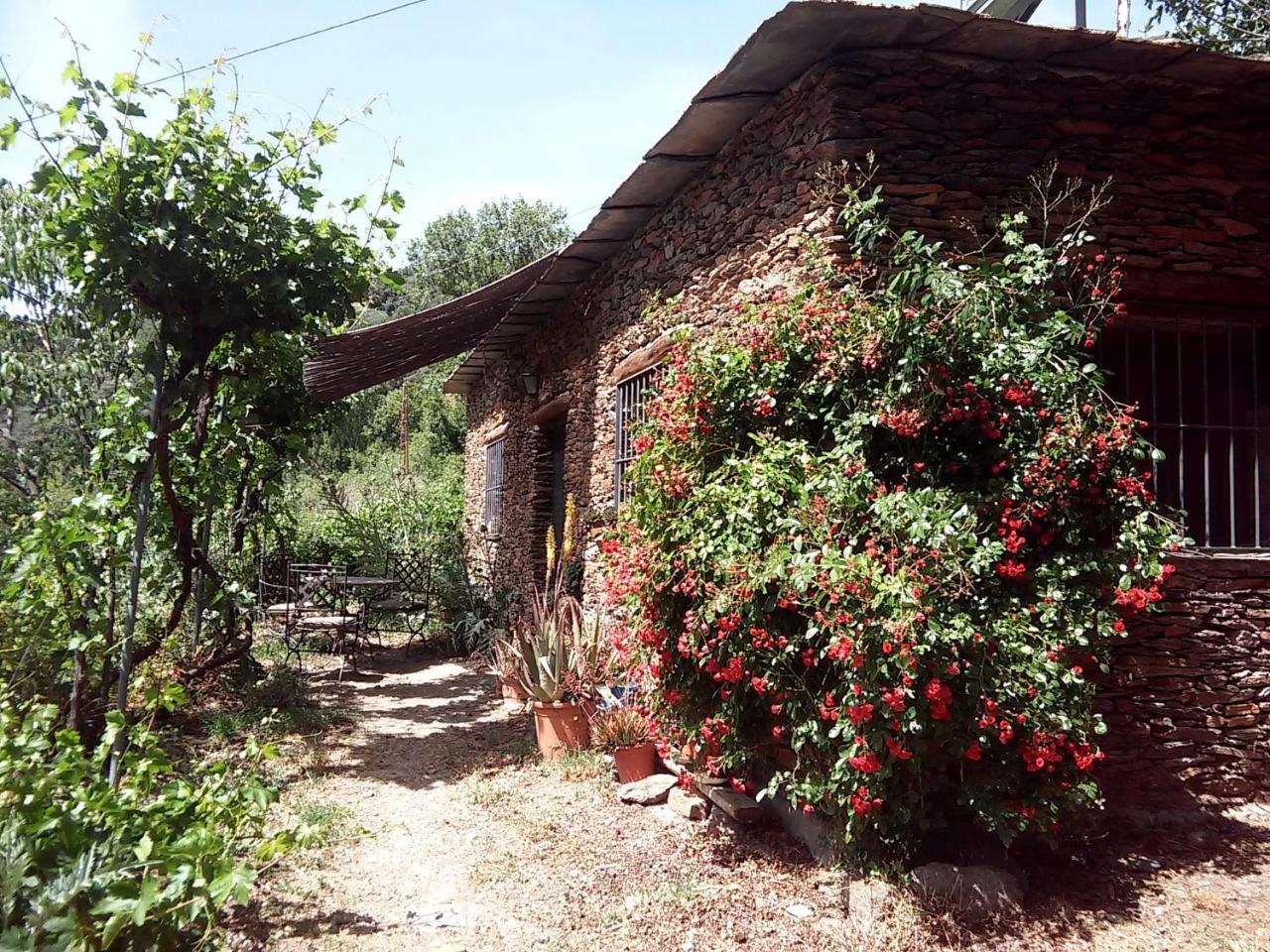 منزل الضيف Laroles  في Cortijo Buena Vista المظهر الخارجي الصورة